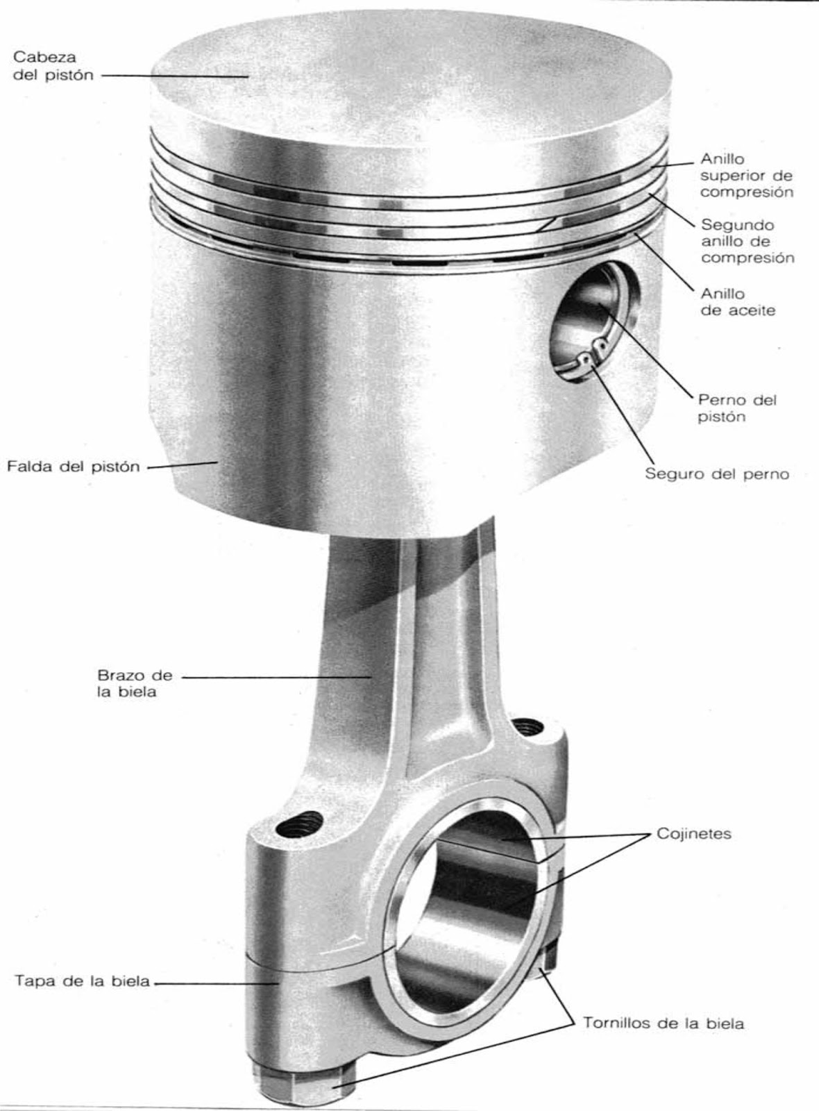 TURBOMECANIC Como anillar un piston.