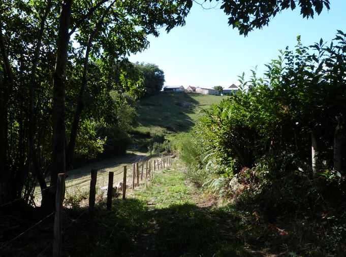 Amur Chemin de Bellevue