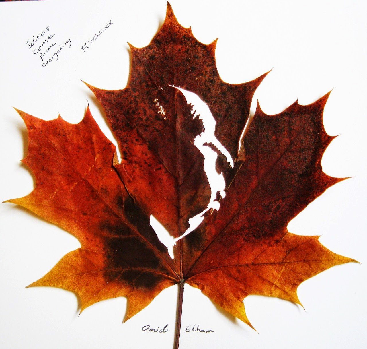 Leaf Cutting Art! Art on Leaves. How He Was Able to Do That? Amazing