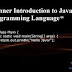 Introduction To Programming: Intro To Java Programming Language For Beginers