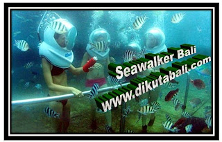 Seputar Wisata Bali | Informasi Pariwisata Di Bali: Watersport Termurah