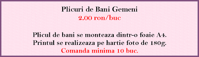 plicuri de bani botez gemeni 