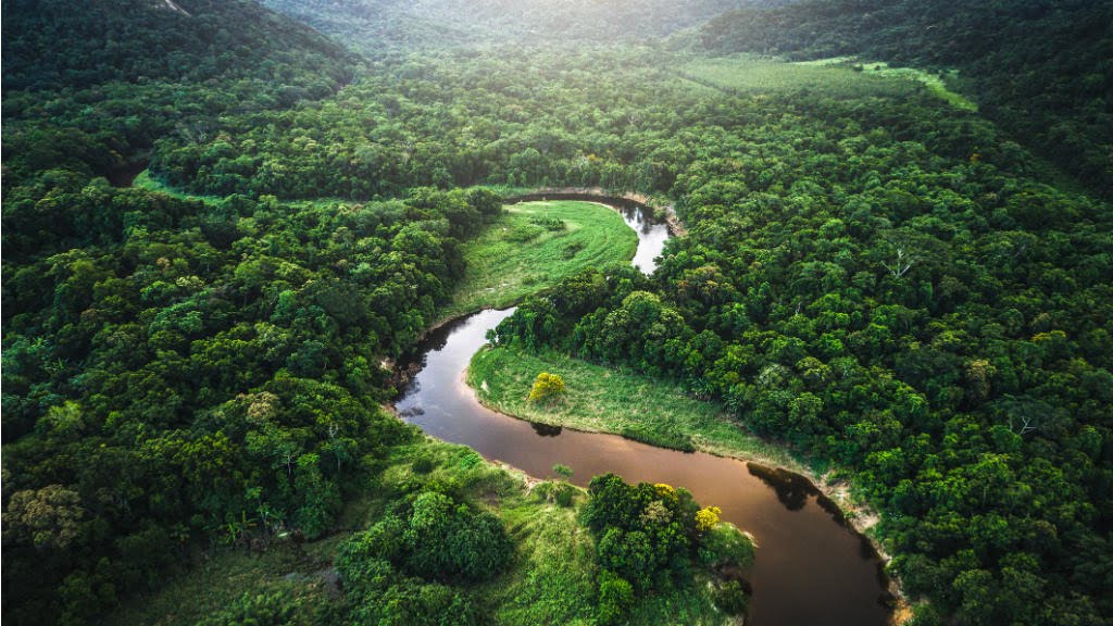 Amazonas brasil