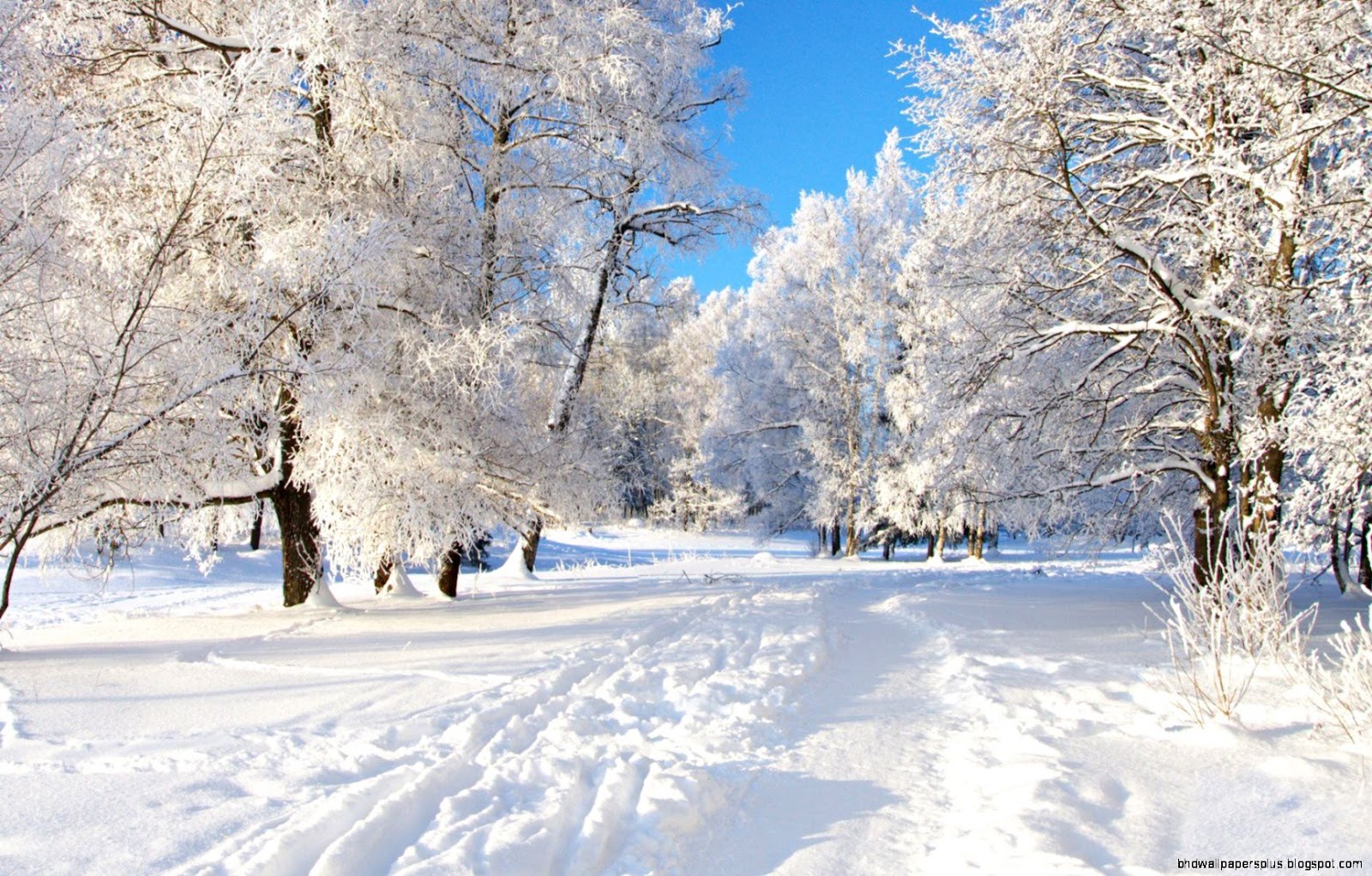 Free Winter Computer Desktop Wallpaper