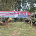 Peringati Hari Pahlawan, TNI-Polri Bersinergi Tanam Pohon Sengon