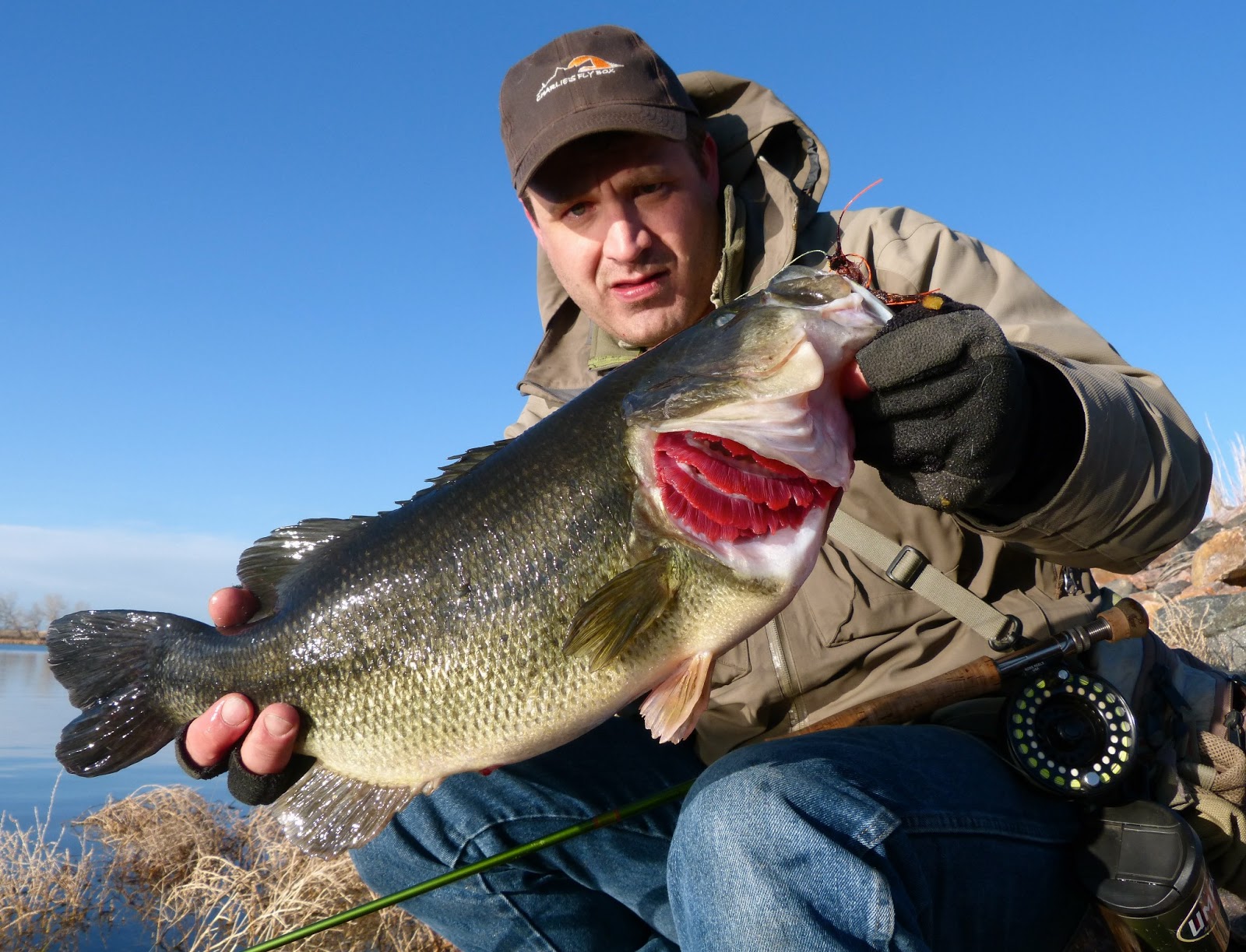 Colorado Fly Fishing Reports Opening Day