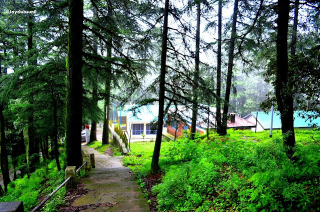 Know about Chail Himachal Pradesh