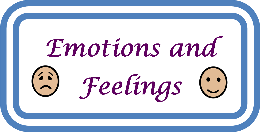  EMOTIONS AND FEELINGS