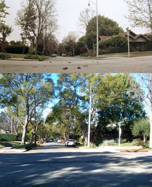 Then & Now Movie Locations Halloween (1978)
