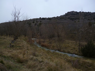 Río Pancrudo 