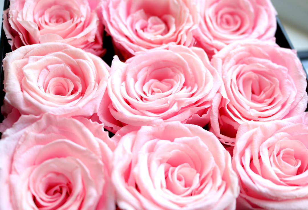 INFINI London Pink Roses review 