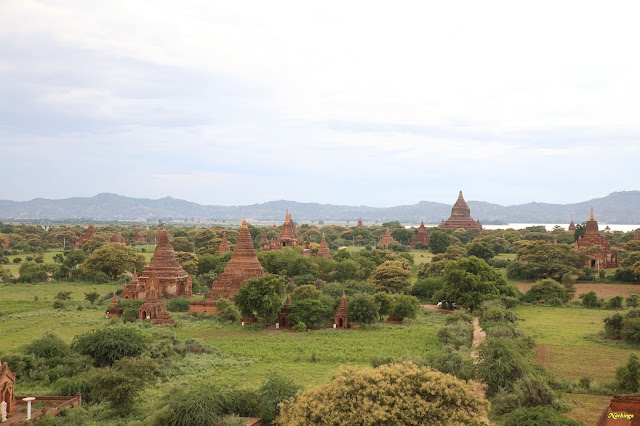 Objetivo Birmania - Blogs de Myanmar - 14-08-16 Primer día en Bagan. (13)