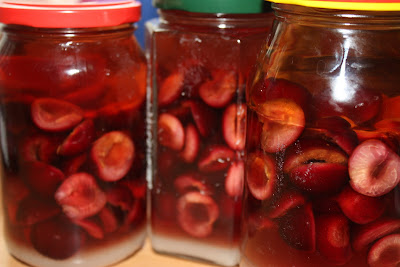 cherry liqueur wisniowka wisniak