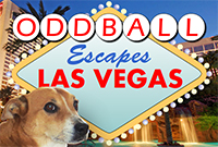 ArtKivez Oddball Escapes Las Vegas