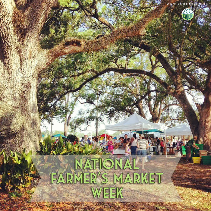 Celebrate National Farmers Market Week! Eco Cajun
