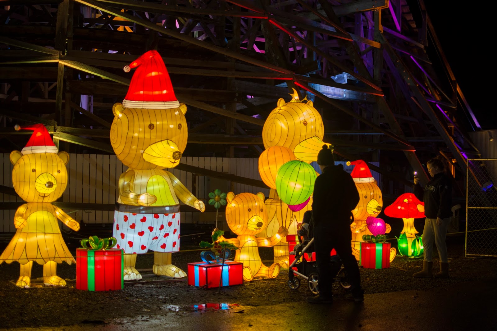 Naomi's Photos Seattle Lantern Festival