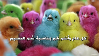 %25D8%25B5%25D9%2588%25D8%25B1%25D9%2587-%25D8%25B4%25D9%2585-%25D8%25A7%25D9%2584%25D9%2586%25D8%25B3%25D9%258A%25D9%2585