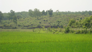 Farm House Land in Jaipur at Prime Location
