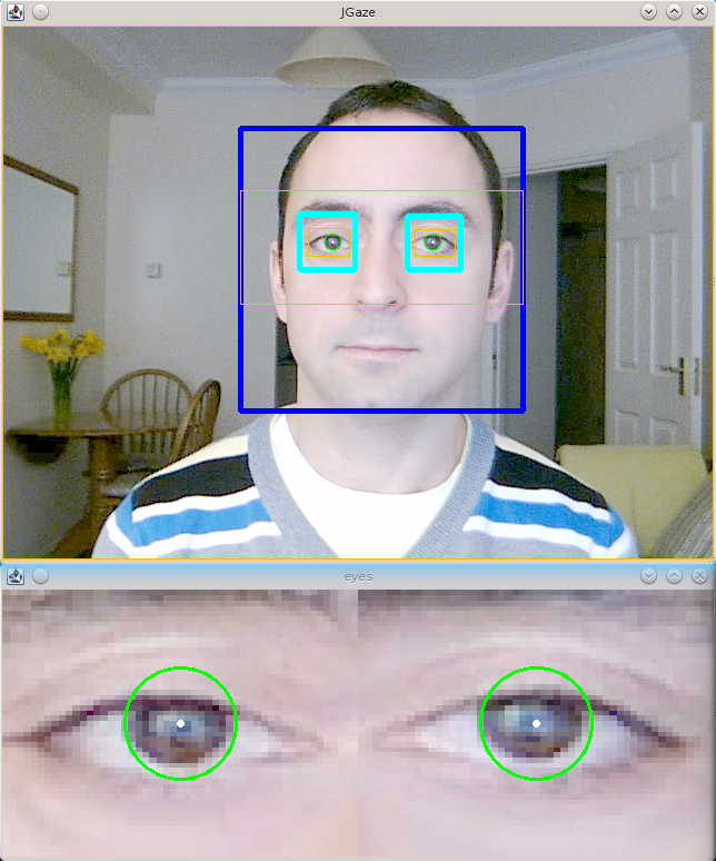 mirrored split pupil finder mirrored split pupil finder