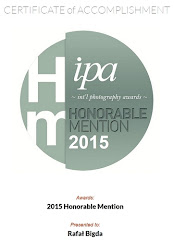 IPA 2015 Honorable Mention
