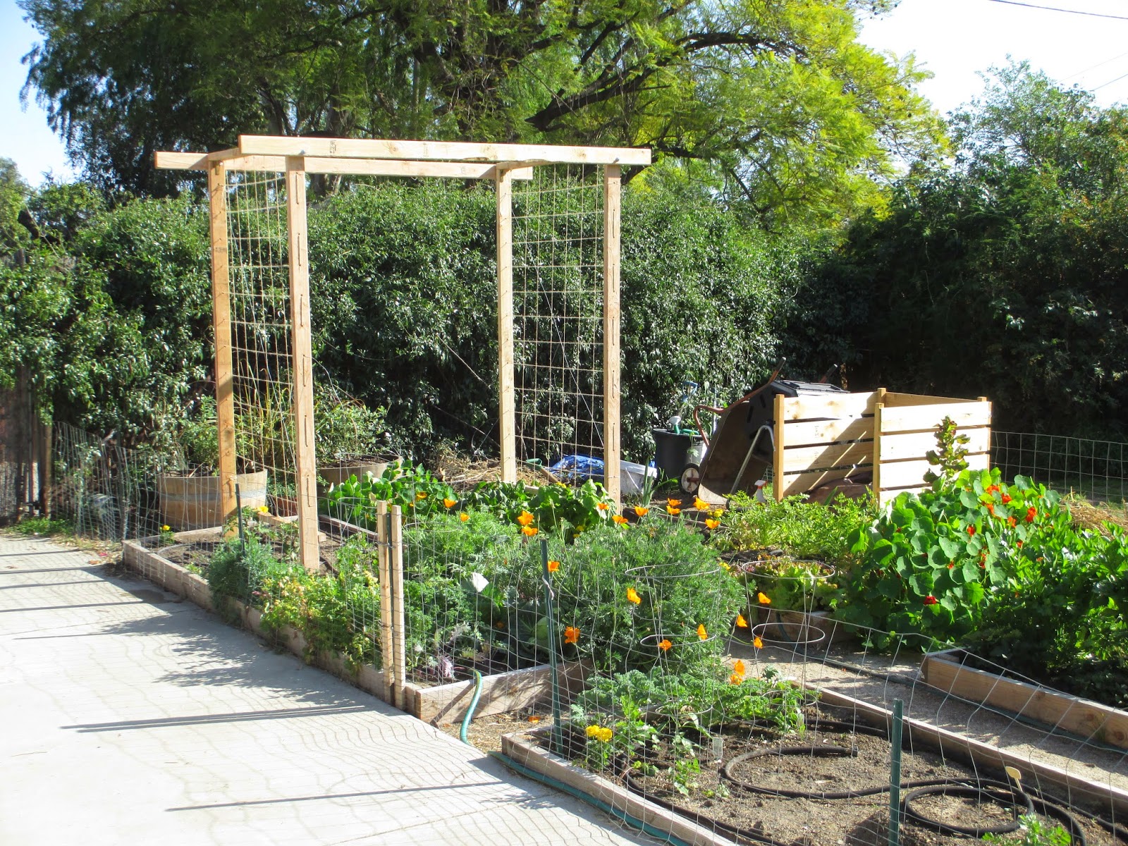 Andie's Way DIY Tomato Trellis