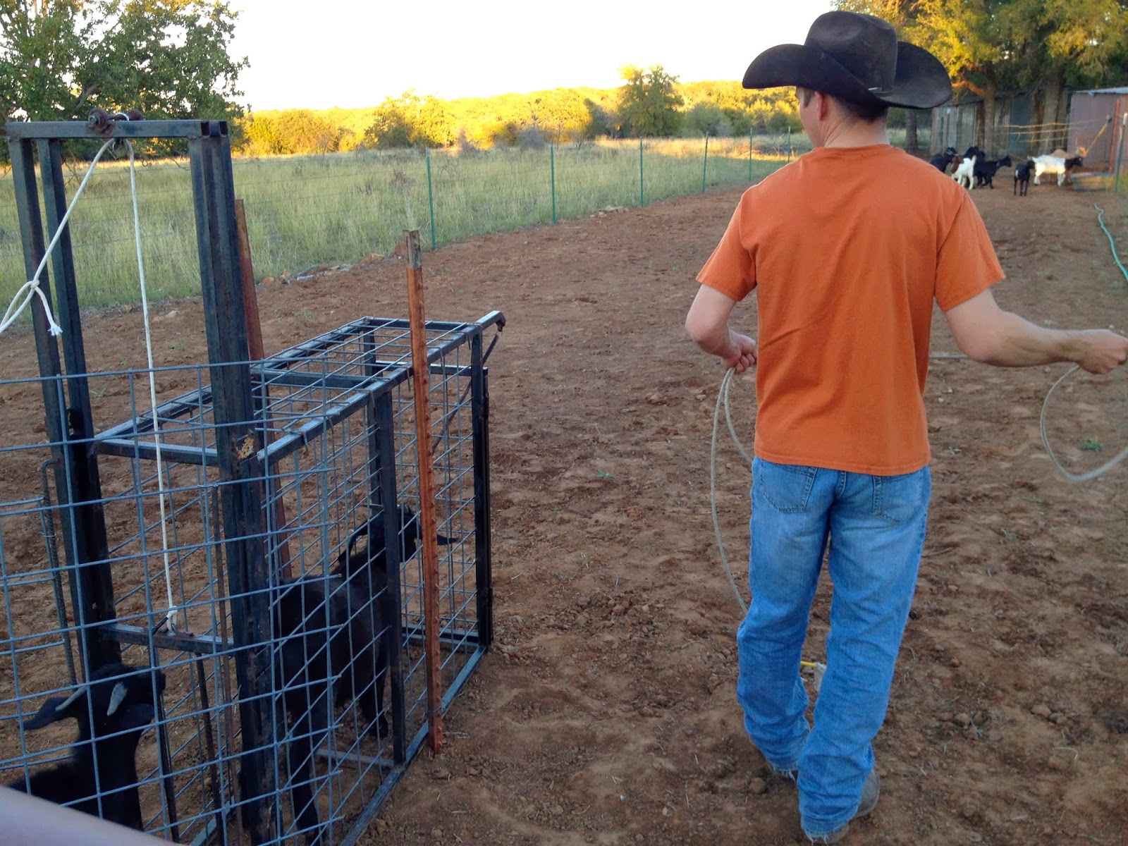 Gabby's Home on the Range Goat Ropin'