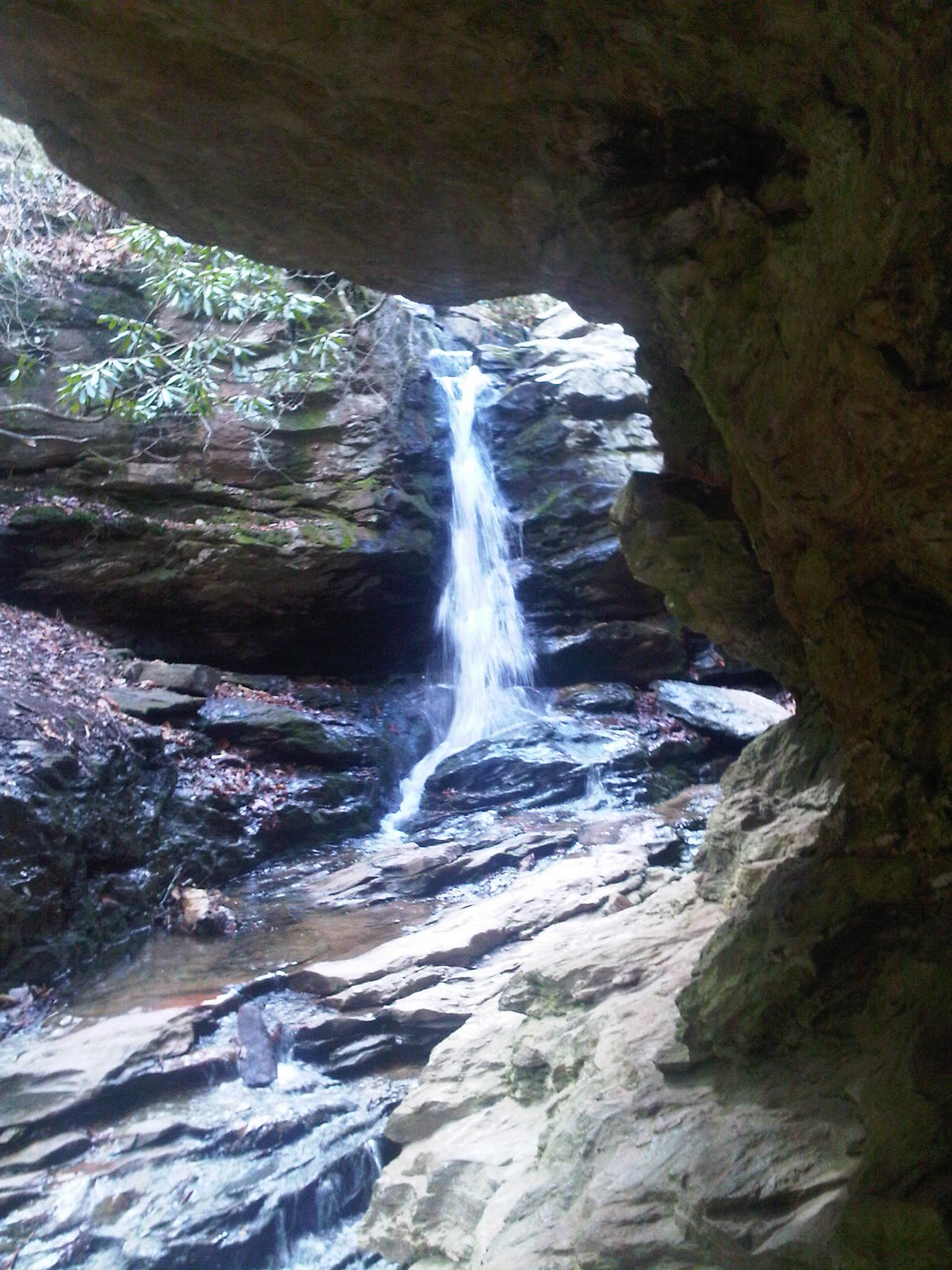 NC BACKCOUNTRY