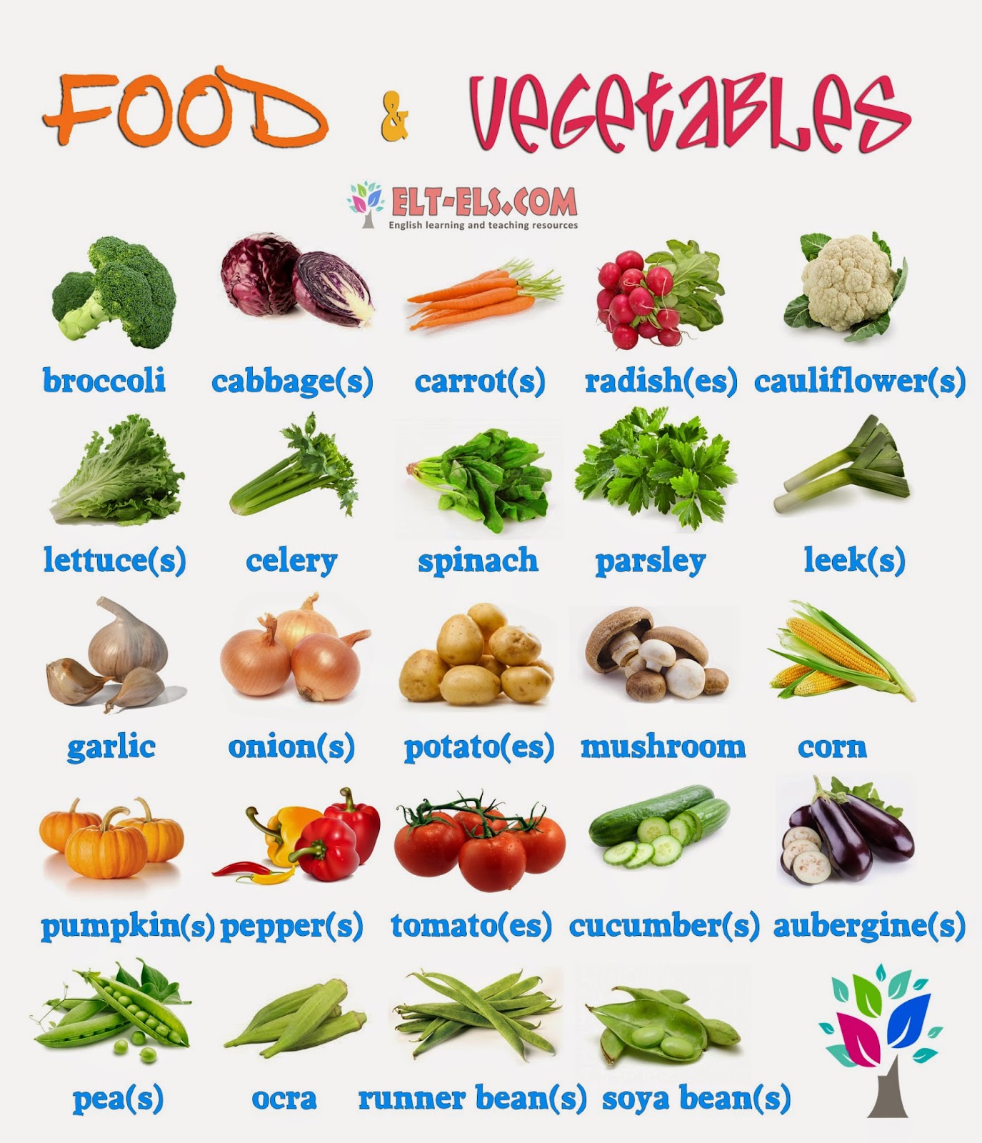 Food & vegetables