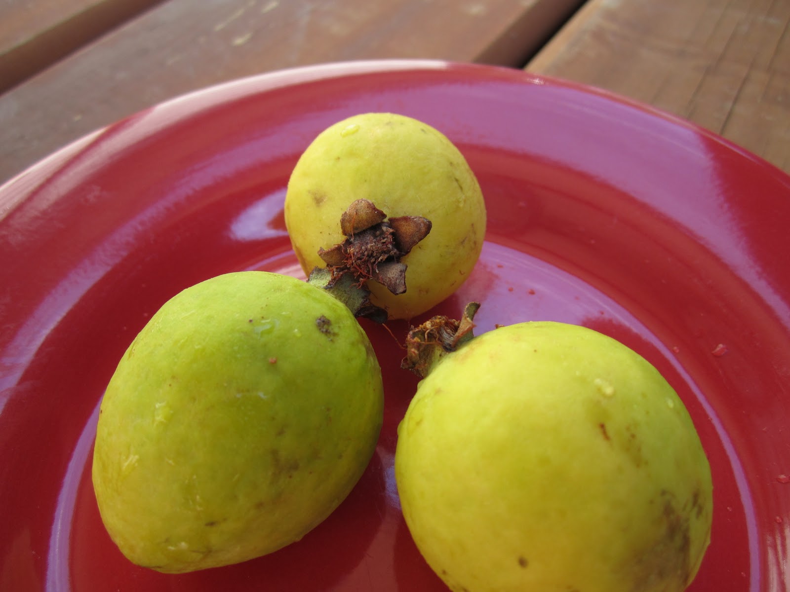 The Fruitectives Guava (baby)