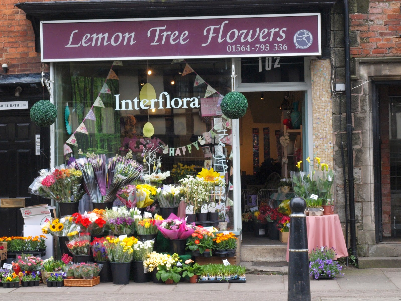 Ragged Robin's Nature Notes Garden Update and a Brief Visit to Henley