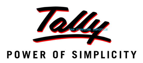 What is Tally? Tally क्या है?