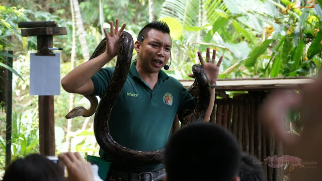 Lok Kawi Wildlife Park Kota Kinabalu