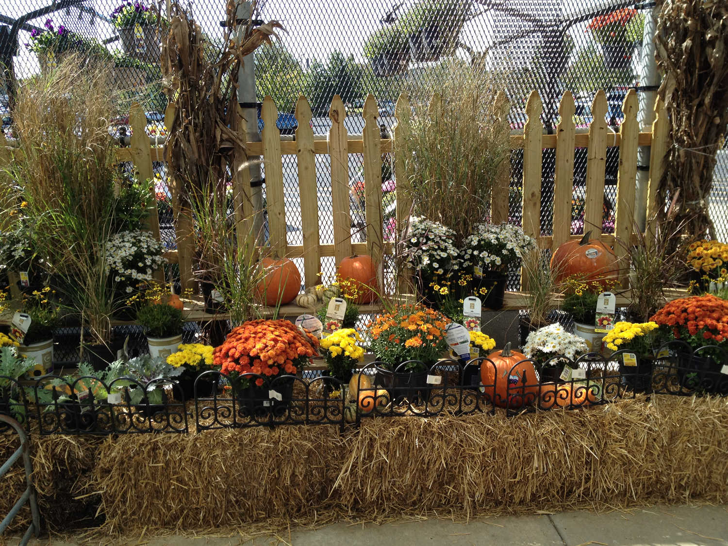 Halcyon Days Do You Decorate for Fall?