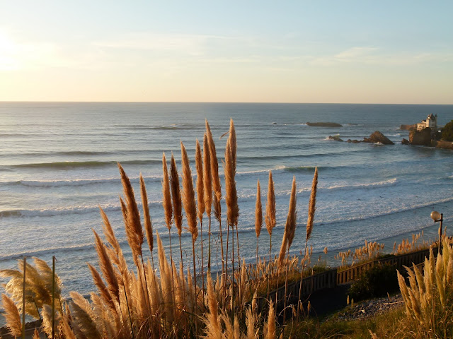 surfin estate blog surf culture surfboard lifestyle skateboard once côte des basques