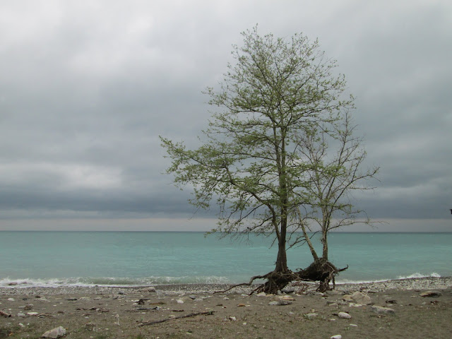 La costa de Abjasia está algo descuidada