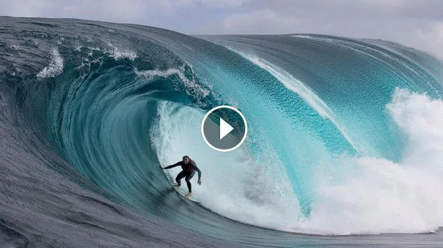 These are the best barrels of 2017 Best of Surf