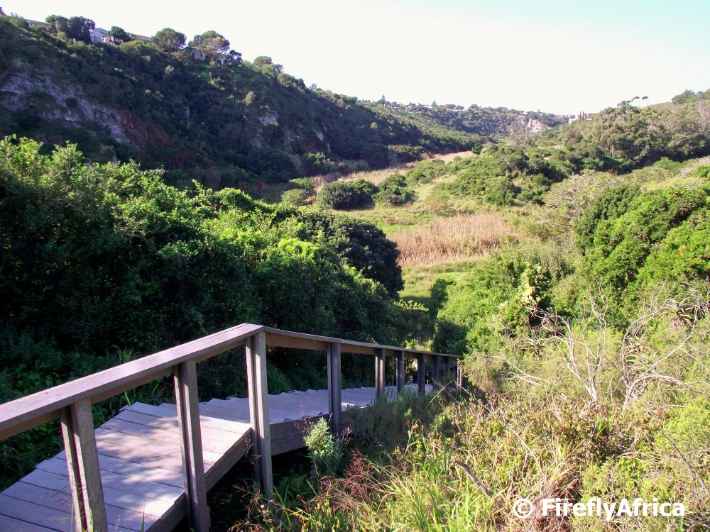 Port Elizabeth Daily Photo Dodds Farm directions