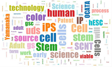 Word Cloud Snapshot