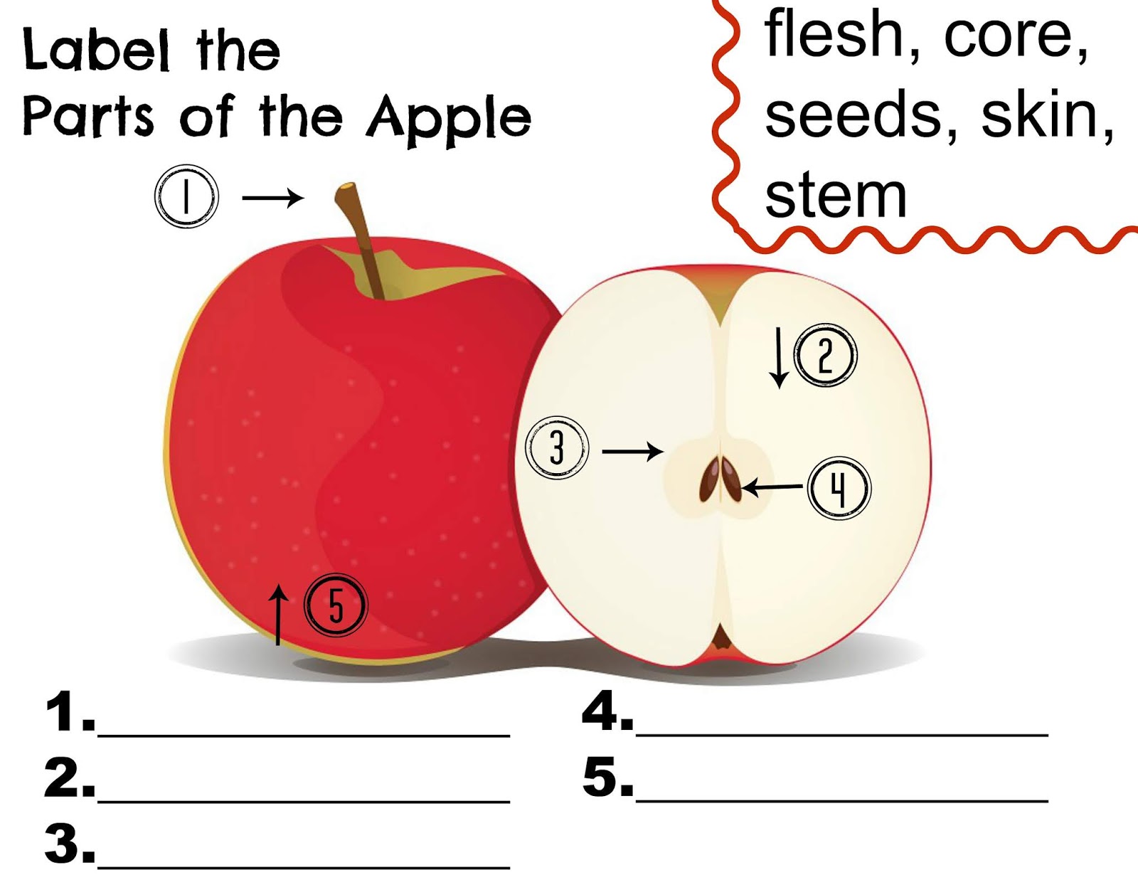 A RUP LIFE Our Favorite Apple Read Alouds & FREE Apple Parts Printable!