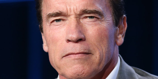 Arnold Schwarzenegger Wallpapers High Resolution and Quality