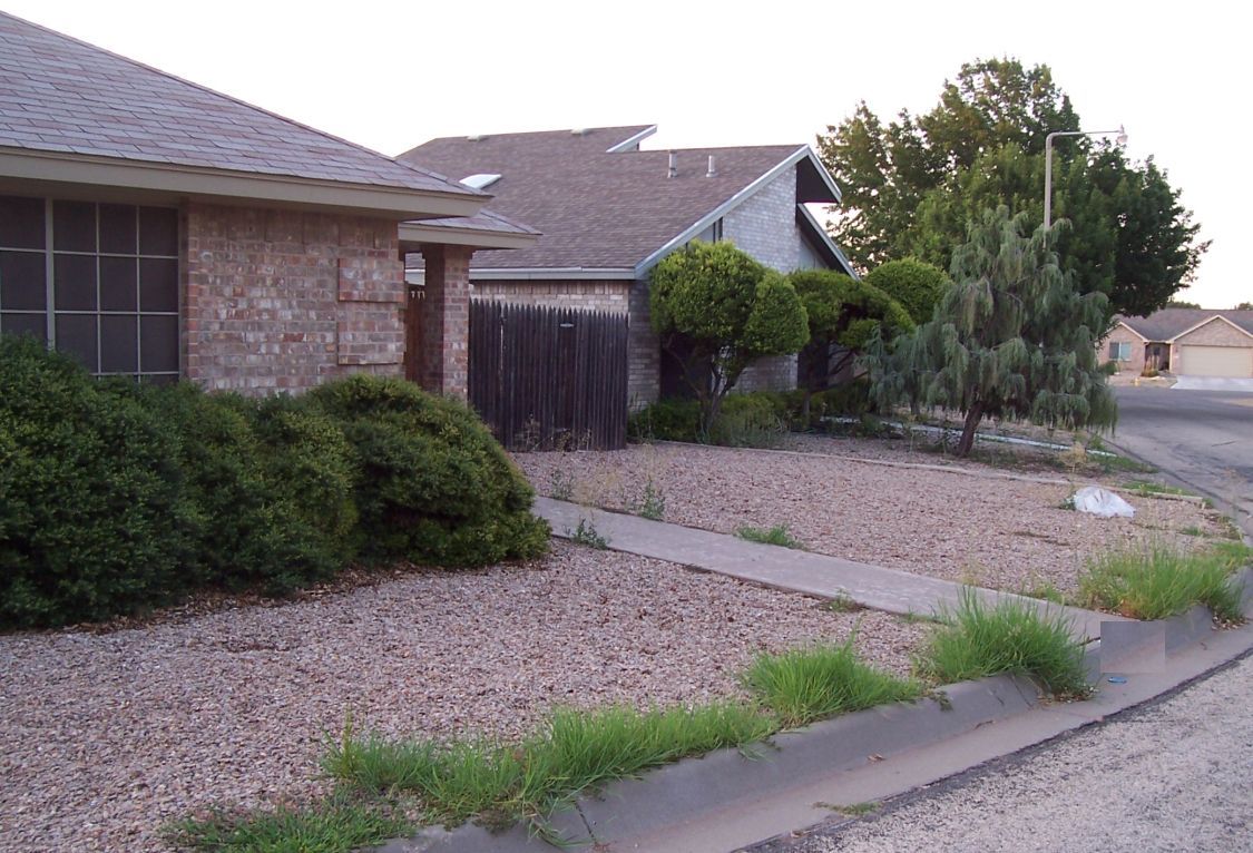 Happy Trails: A Stroll Around the Neighborhood Happy Trails: A Stroll Around the Neighborhood on Low Maintenance Backyard
id=12761