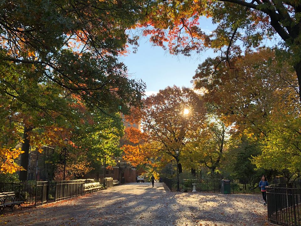 EV Grieve: The fall collection from Tompkins Square Park