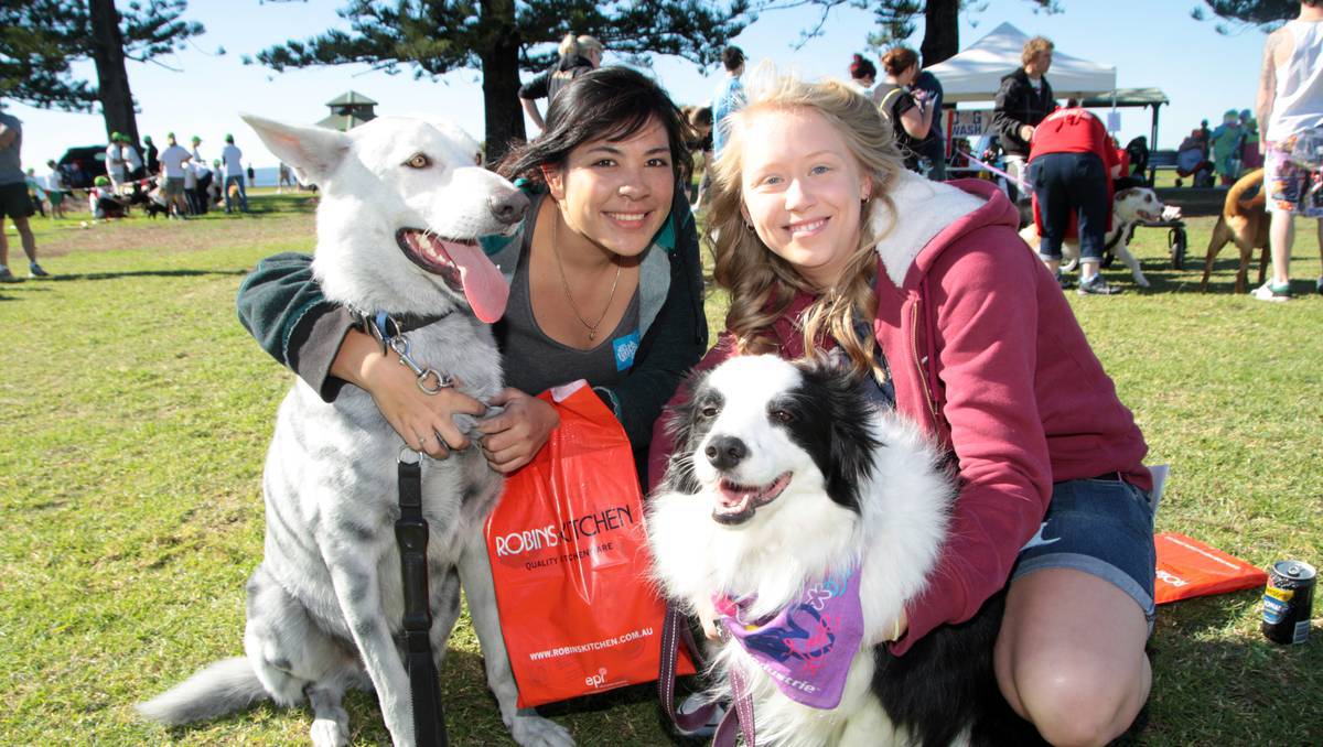 RSPCA Million Paws Walk 2017 - May 21 | Australian Dog Lover