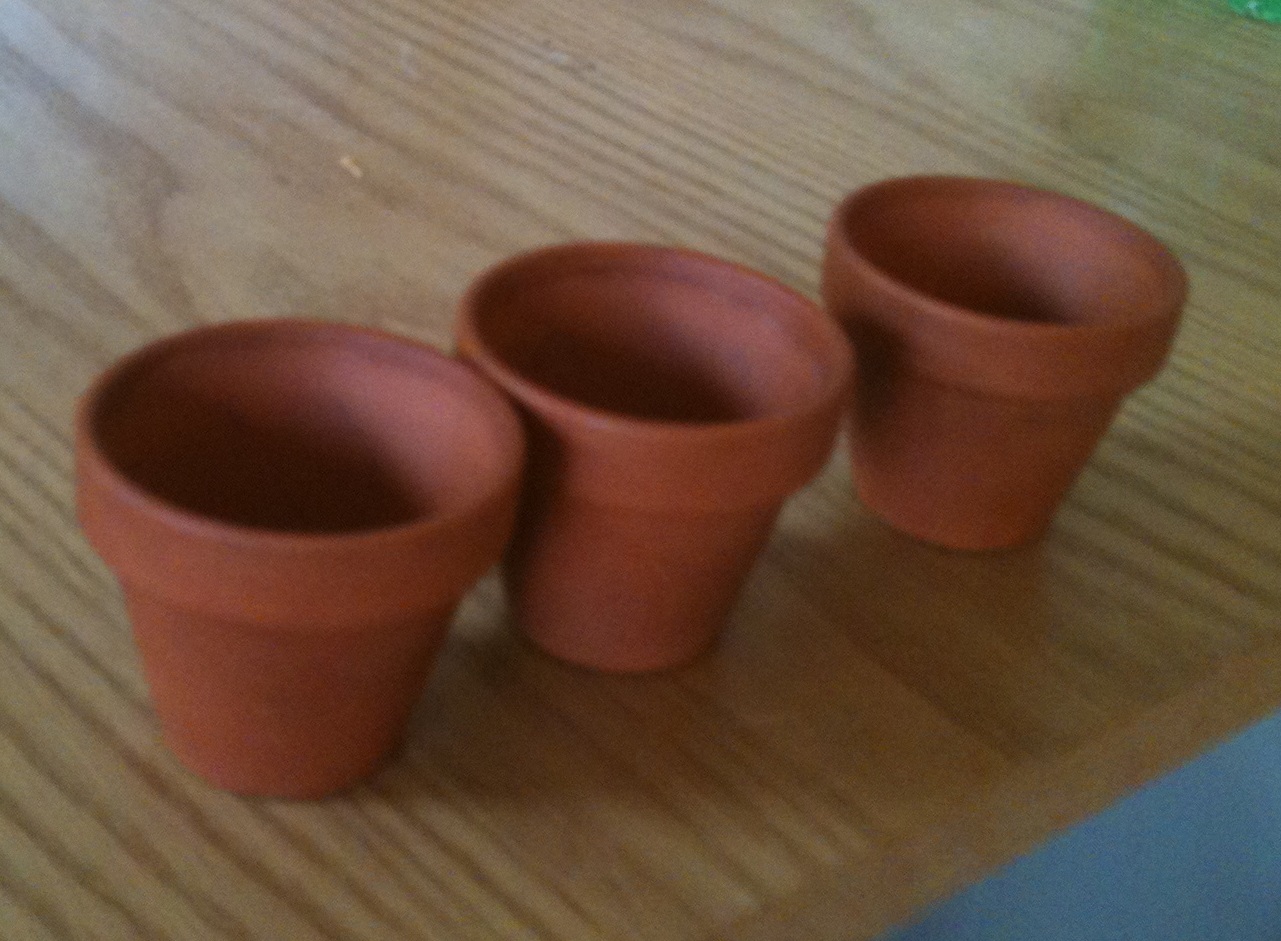 three%2Blittle%2Bpots%2Bcropped.jpg