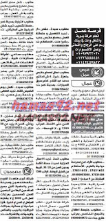وظائف خالية فى جريدة الوسيط مصر الجمعة 19-06-2015 %25D9%2588%2B%25D8%25B3%2B%25D9%2585%2B7