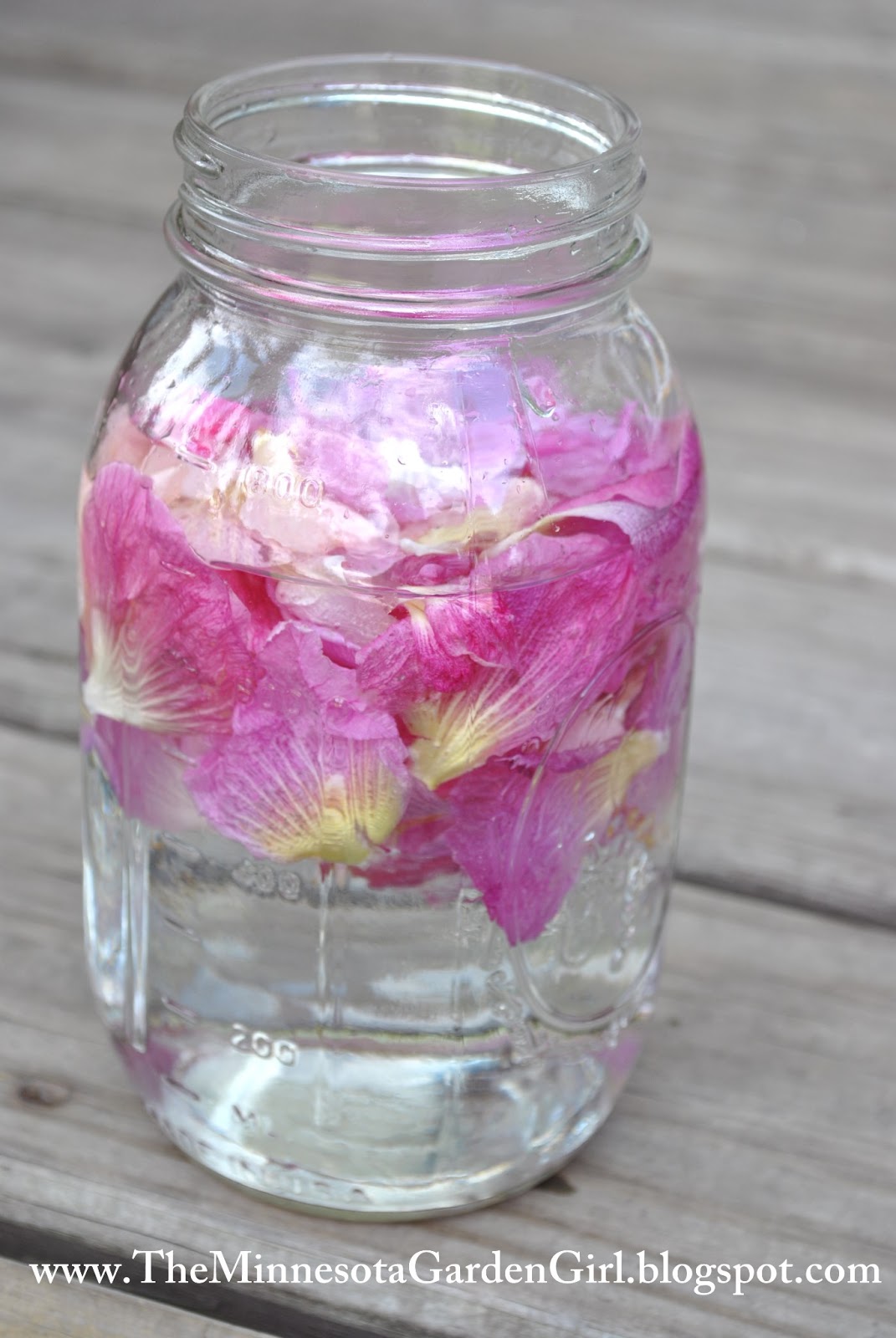 The Minnesota Garden Girl Hollyhock Tea & Hollyhock Dolls