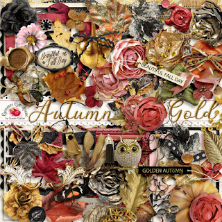 https://www.raspberryroaddesigns.net/shoppe/index.php?main_page=advanced_search_result&search_in_description=1&keyword=autumn+gold&x=0&y=0