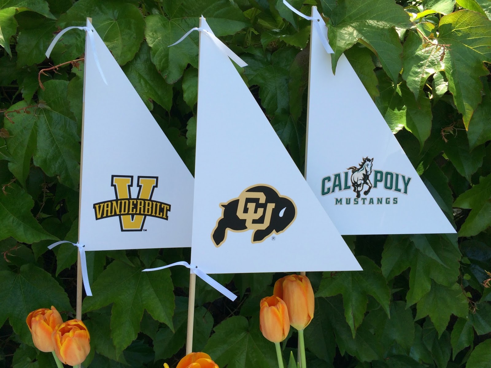 Jac o' lyn Murphy Nautical Graduation Party Centerpieces