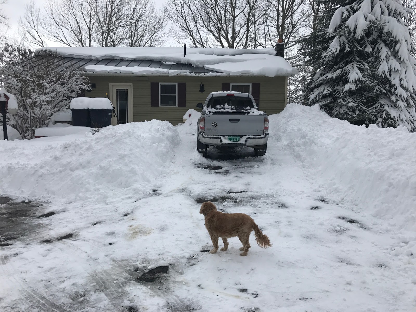 Matt's Weather Rapport Wild March In Vermont Comes Out "Normal" Here's How