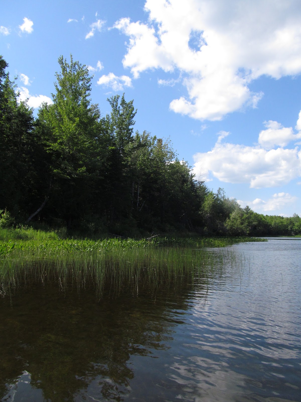 Recreational Kayaking in Maine Stump Pond, Lincoln Maine